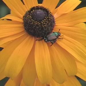 Meet your Posher, Scott